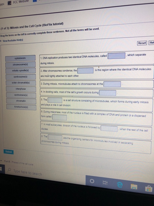 pps FCC Website (1 of 3): Mitosis and the Cell Cycle (BioFlix tutorial) Drag the terms on the left to correctly complete thes