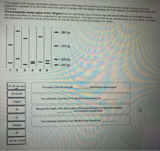 The mutation that causes Huntington disease involves a DNA segment known as a CAG trinucleotide repeat. Normally, the CAG seg