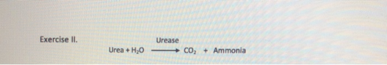 Exercise II. Urease Urea + H2O CO2 + Ammonia