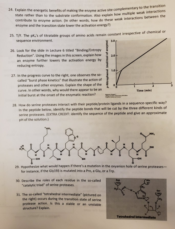 24. Explain the energetic benefits of making the enzyme active state rather than to the substrate conformation. Also explain