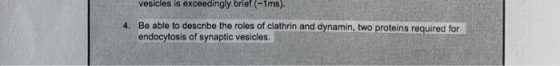 vesicles is exceedingly brief (-1ms). 4. Be able to describe the roles of clathrin and dynamin, two proteins required for end