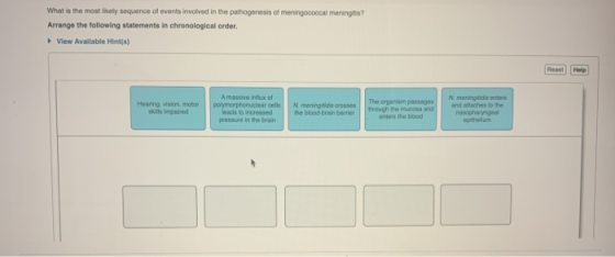 What is the most likely sequence of events involved in the pathogenesis of meningococcal meningitis? Arrange the following st