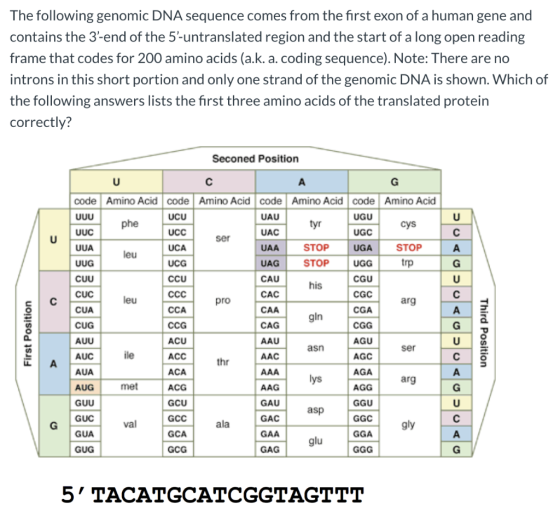 The following genomic DNA sequence comes from the first exon of a human gene and contains the 3-end of the 5-untranslated r