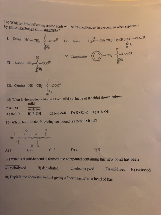 14) Which of the following amino acids will by cation-exchange chromatography? following amino acids will be retained longest
