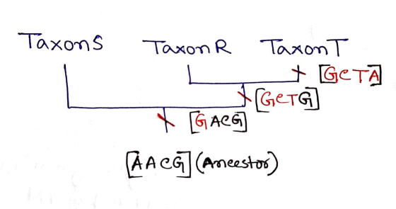 Taxons 1. Taxon R TaxonT * GETA XrGeTG X [GACG Ge (AA CG](Ancestor)