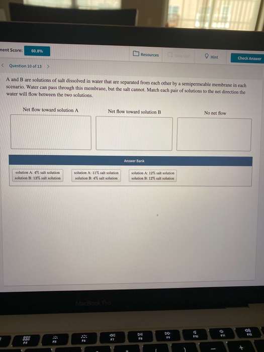 ment Score: 60.8% Resources Hint Check Answer Question 10 of 13 > A and B are solutions of salt dissolved in water that are s