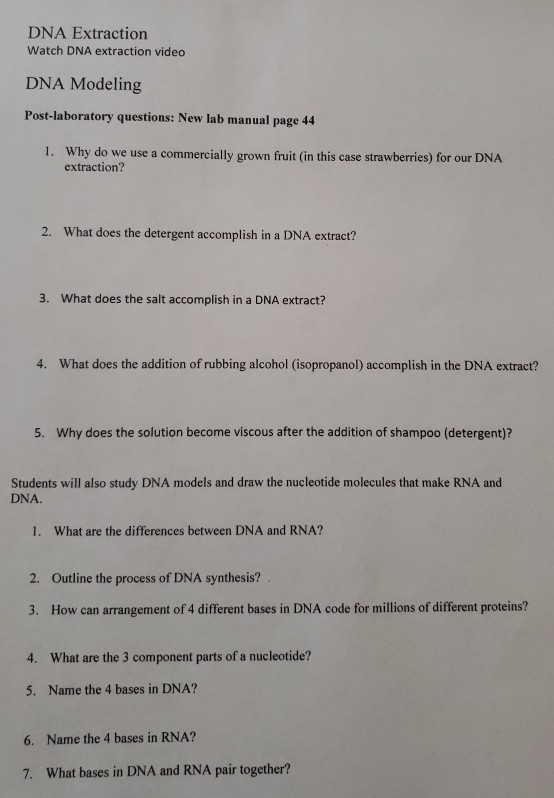 DNA Extraction Watch DNA extraction video DNA Modeling Post-laboratory questions: New lab manual page 44 1. Why do we use a c