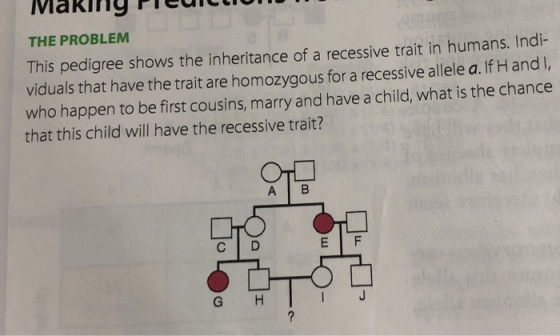 Makimiy PILUILLIUM THE PROBLEM This pedigree shows the inheritance of a recessive trait in humans. Indi- viduals that have th