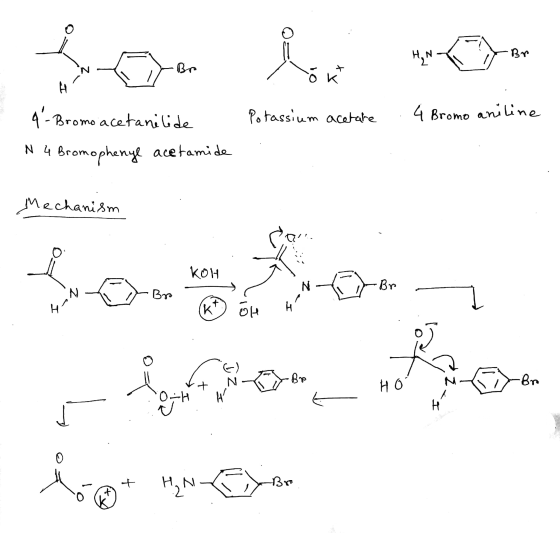 ? Ökt I Potassium acetate . 4 Bromo aniline 4- Bromo acetanilide N 4 Bromophenyl acetamide Mechanism KOH -Br Bys H (K) + N 0