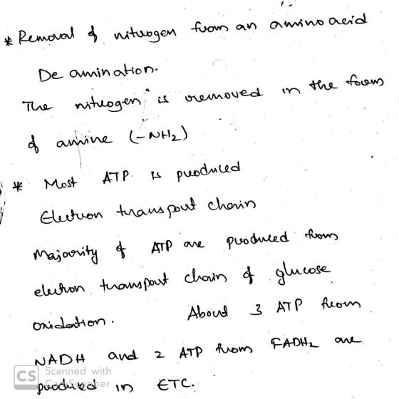 *Removal of nitrogen from an amino acid De amination. . . - The nitrogen is removed in the foors of amine (-NH2) * Most ATP i