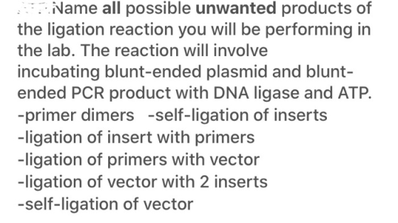 Name all possible unwanted products of the ligation reaction you will be performing in the lab. The reaction will involve inc