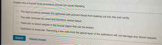 Explain why a buccal swab procedure should not cause bleeding. 9. The tight junctions between the epithelial cells prevent bl