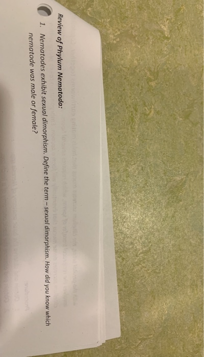 Review of Phylum Nematoda: 1. Nematodes exhibit sexual dimorphism. Define the term - sexual dimorphism. How did you know whic