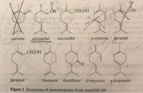 CH OH p-cymene geranial carvone citronellal t citronellol CH OH geraniol limonene menthone B-myrcene a-terpinene Figure 1 Structures of monoterpenes from essential oils