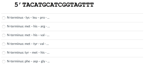 5 TACATGCATCGGTAGTTT O N-terminus - lys – leu - pro-... O N-terminus: met - his - arg - ... O N-terminus: met – his - val -.