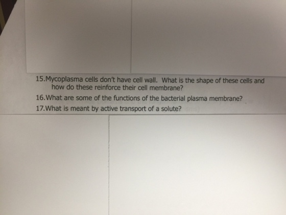 15.Mycoplasma cells dont have cell wall. What is the shape of these cells and how do these reinforce their cell membrane? 16.What are some of the functions of the bacterial plasma membrane? 17.What is meant by active transport of a solute?