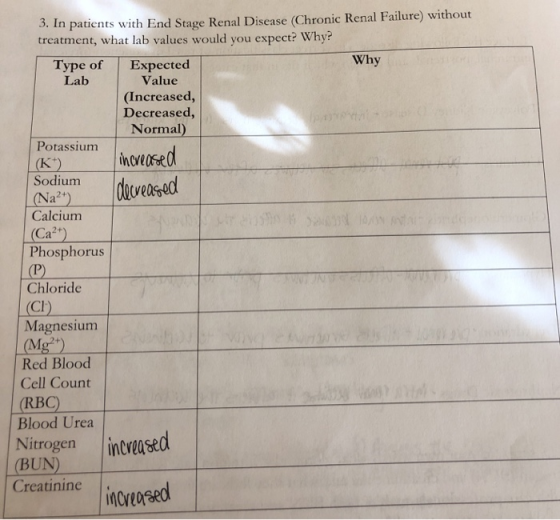 3. In patients with End Stage Renal Disease (Chronic Renal Failure) without treatment, what lab values would you expect? Why?