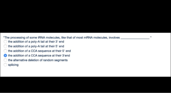 The processing of some tRNA molecules, like that of most mRNA molecules, involves the addition of a poly-A tail at their 3