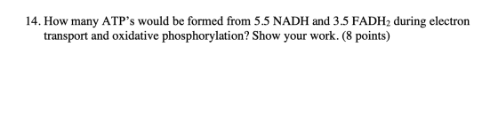 14. How many ATPs would be formed from 5.5 NADH and 3.5 FADH2 during electron transport and oxidative phosphorylation? Show