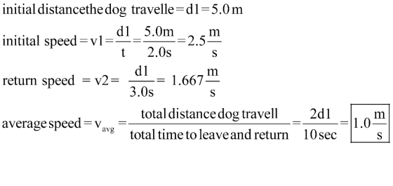 initial distancethe dog travelle-dl-5.0m nitital speed V 2.5 t 2.0s d = 1.667 3.0s total distance dog travell total time to leaveand return return speed-v2= average speed-V avi 10 sec