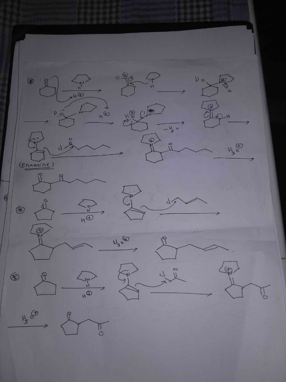 enamine 3 ナ