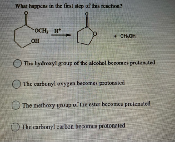 What happens in the first step of this reaction? 0 o OCH; H + CH3OH OH The hydroxyl group of the alcohol becomes protonated T