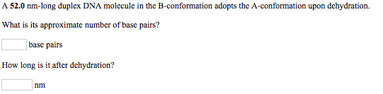 A 52.0 nm-long duplex DNA molecule in the B-conformation adopts the A-conformation upon dehydration. What is its approximate