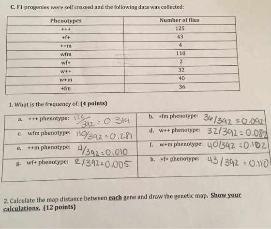 F1 progenies were self crossed and the following d