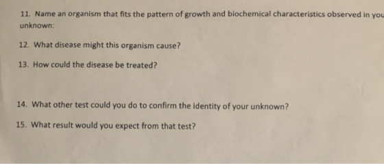 11. Name an organism that fits the pattern of growth and biochemical characteristics observed in you unknown: 12. What diseas