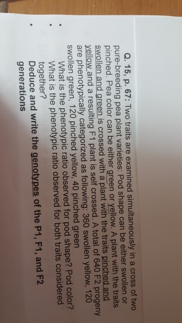 Q. 15, p. 67: Two traits are examined simultaneously in a cross of two pure-breeding pea plant varieties: Pod shape can be either swollen or pinched. Pea color can be either green or yellow. A plant with the traits swollen and green is crossed with a plant with the traits pinched and yellow and a resulting F1 plant is self crossed. A total of 640 F2 progeny are phenotypically categorized as following: 360 swollen yellow, 120 swollen green, 120 pinched yellow, 40 pinched green What is the phenotypic ratio observed for pod shape? Pod color? What is the phenotypic ratio observed for both traits considered together? Deduce and write the genotypes of the P1, F1, and F2 generations