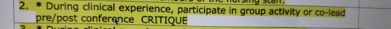 2. * During clinical experience, participate in group activity or co-lead pre/post conference CRITIQUE