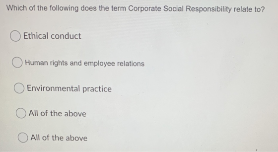 Which of the following does the term Corporate Social Responsibility relate to? Ethical conduct Human rights and employee rel