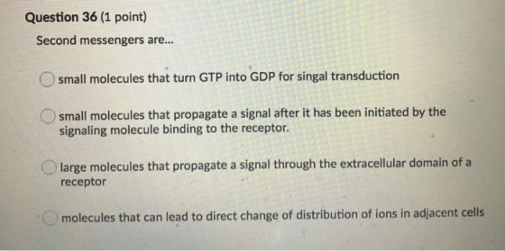 Question 36 (1 point) Second messengers are... small molecules that turn GTP into GDP for singal transduction small molecules