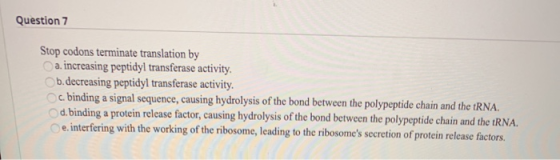 Question 7 Stop codons terminate translation by a. increasing peptidyl transferase activity. b. decreasing peptidyl transfera