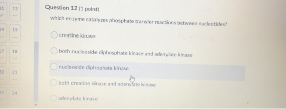 Question 12 (1 point) which enzyme catalyzes phosphate transfer reactions between nucleotides? creatine kinase both nucleosid