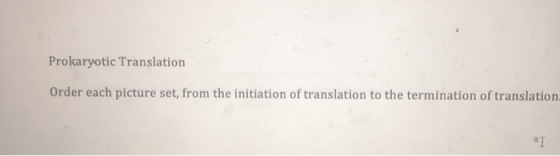 Prokaryotic Translation Order each picture set, from the initiation of translation to the termination of translation T