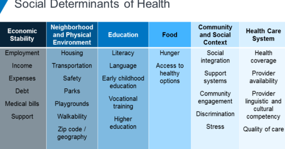 Social Beterminants of Health Economic Stability Education Food Health Care System Neighborhood and Physical Environment Hous