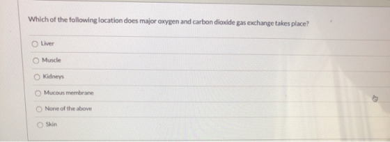 Which of the following location does major oxygen and carbon dioxide gas exchange takes place? Liver Muscle Kidneys Mucous me