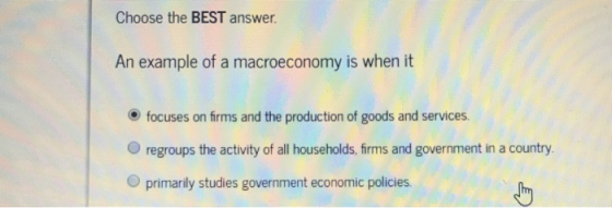 Choose the BEST answer. An example of a macroeconomy is when it O focuses on firms and the production of goods and services Oregroups the activity of all households, frms and government in a country O primarily studies government economic polices. bo