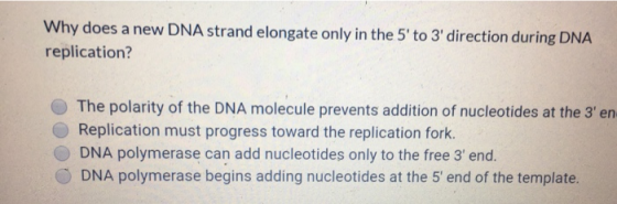 Why does a new DNA strand elongate only in the 5 to 3 direction during DNA replication? The polarity of the DNA molecule pr