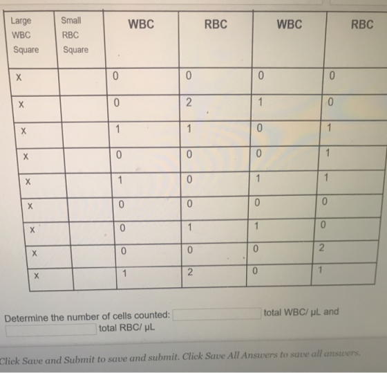 Small RBC Large WBC SquareSquare RBC WBC WBC RBC 0 total WBC/ μL and Determine the number of cells counted: total RBC/ μL Ans