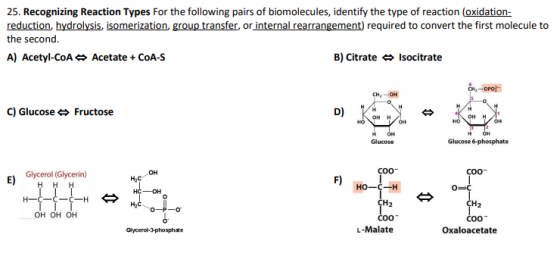 25. Recognizing Reaction Types For the following pairs of biomolecules, identify the type of reaction (oxidation- reduction,