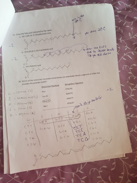 27. Draw the fatty acid indicated by the name a, 18:1 (as) cis-9-Octadecenoic acid b. 20-4 (A5,8,11,14) Arachidonic acid dsit