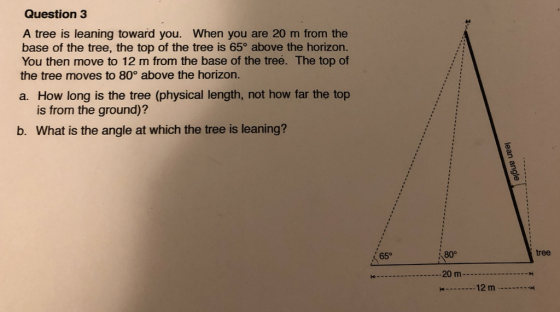 Question 3 A tree is leaning toward you. When you are 20 m from the base of the tree, the top of the tree is 65° above the ho