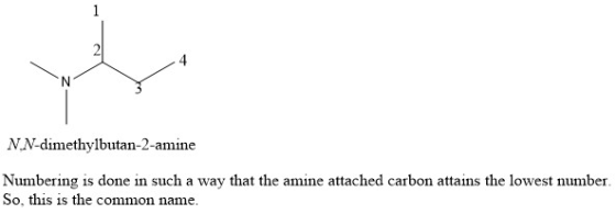 N N.N-dimethylbutan-2-amine Numbering is done in such a way that the amine attached carbon attains the lowest number So, this