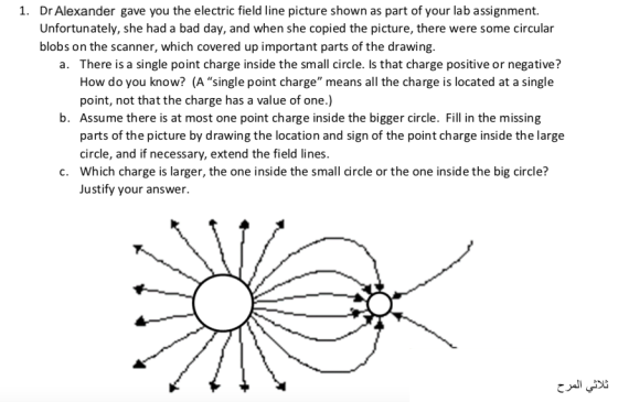 Dr Alexander gave you the electric field line picture shown as part of your lab assignment. Unfortunately, she had a bad day,