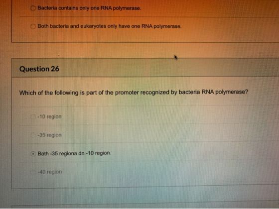 Bacteria contains only one RNA polymerase. Both bacteria and eukaryotes only have one RNA polymerase. Question 26 Which of th