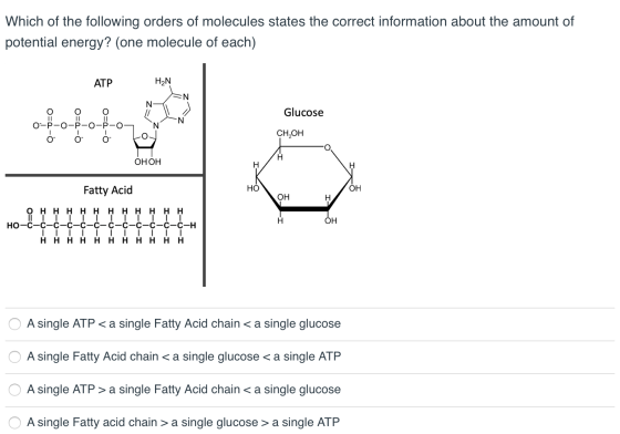 Which of the following orders of molecules states the correct information about the amount of potential energy? (one molecule
