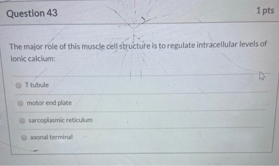 Question 43 1 pts The major role of this muscle cell structure is to regulate intracellular levels of ionic calcium: T tubule