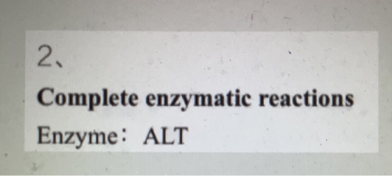 2. Complete enzymatic reactions Enzyme: ALT